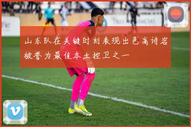 山东队在关键时刻表现出色高诗岩被誉为最佳本土控卫之一