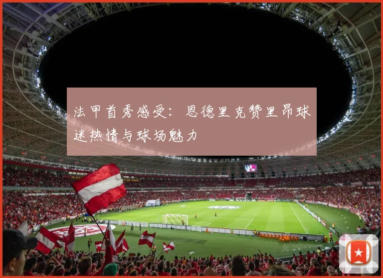 法甲首秀感受：恩德里克赞里昂球迷热情与球场魅力