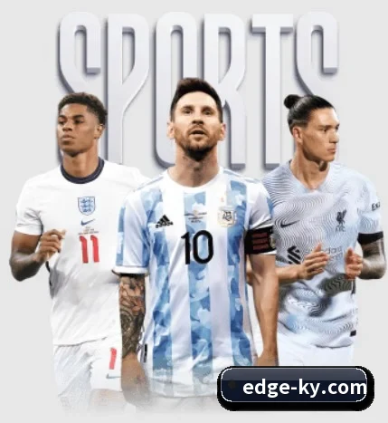 五大服务分区,信息按项目分类（kaiyunapp）